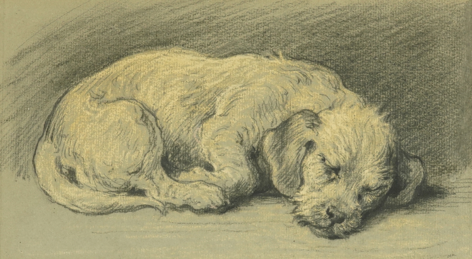 HERBERT DICKSEE (BRITISH, 1862-1942) Sleeping terrier pencil and coloured chalks 14 x 25.5cm £300-500