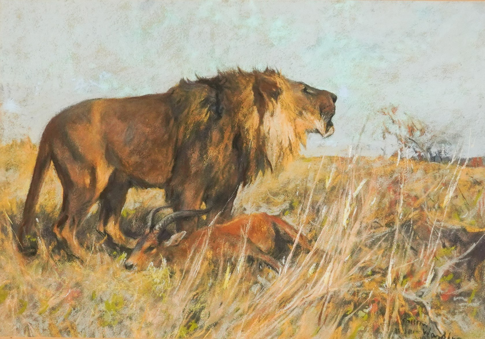 Lion and antelope signed 'Arthur Wardle' (lower right), titled on the artist's label attached ti the backboard pastel on paper 25 x 36.5cm £500-800